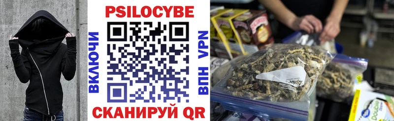 купить сайты Чишмы Псилоцибиновые грибы мицелий